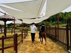 -杭州开元森泊度假乐园