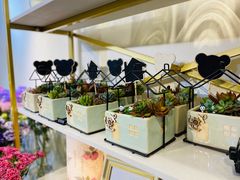 -花未央花店·WEYOUNG