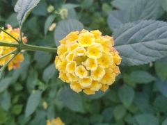 -太阳宫公园