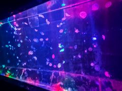 -邯郸海洋世界