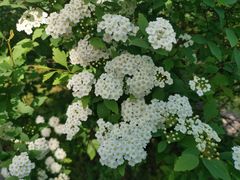 -合肥三国新城遗址公园