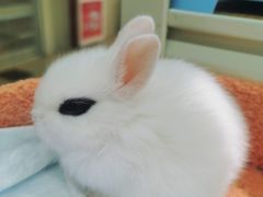 -三旗百汇商品城