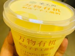 自制酸奶-紫光园(顺义店)