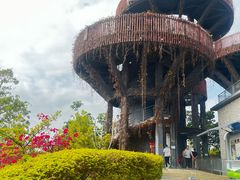 -芒洲湿地公园