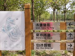 -东郊湿地公园