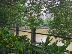 -晓港公园