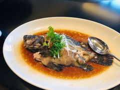 -丽晶轩中餐厅(重庆丽晶酒店)