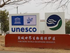 -盐城丹顶鹤湿地生态旅游区
