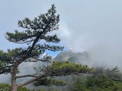 -黄山风景区