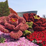 美丽邯郸