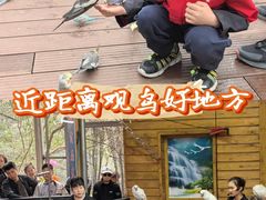 -燕塞湖鸟语林景区