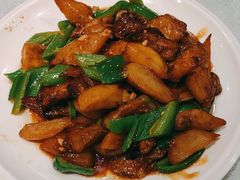 -邵年鸽(杨庄店)