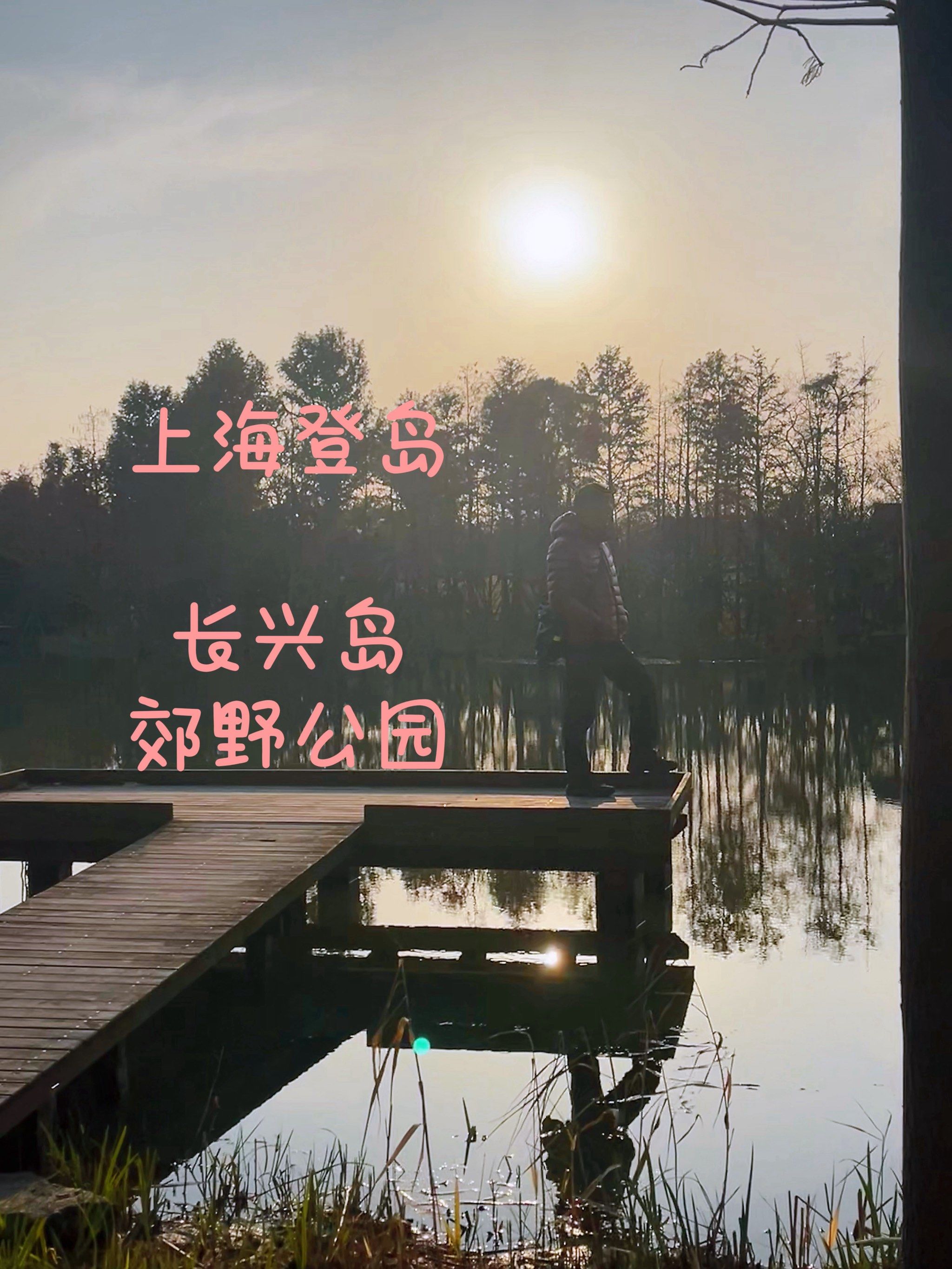 上海登岛 长兴岛郊野公园