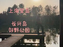 -上海长兴岛郊野公园