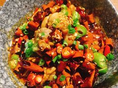 跳跳蛙-付小姐在成都(五道口店)