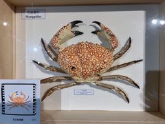 -中国湿地博物馆