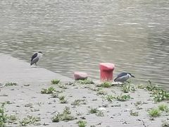 -苏州河梦清园环保主题公园