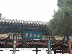 -迎泽公园