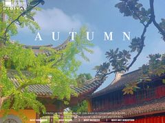-龙华寺