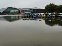 -上海长兴岛郊野公园