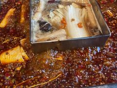 -红鼎坊·老成都火锅(新南门店)
