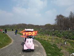 -上海海湾国家森林公园