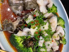 -喜粤8号(四海唐人街店)