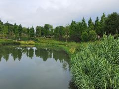 -眉山湿地公园(东坡区)