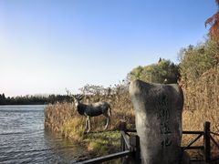 -溱湖国家湿地公园