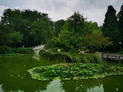 -宣武艺园