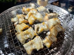 吉力烤鳗鱼-吉力烤鳗