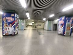 -宋家庄(地铁站)