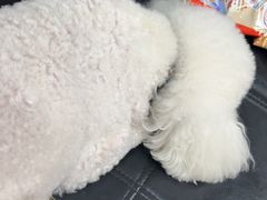 -金三可市井水煮鱼(金碧园店)