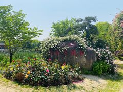 -鹅湖玫瑰文化园