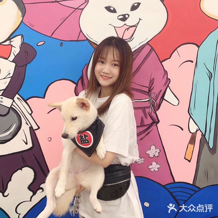 探店 | 广州首家柴犬咖啡厅🐶被狗狗萌炸了