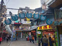 -猫咪博物馆(顶澳仔猫街店)