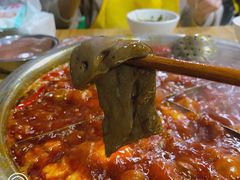 鸭血-渝味黄姐火锅(黄泥村店)