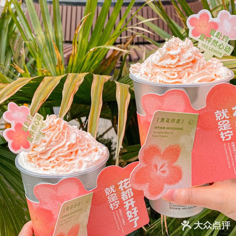 选用的是金韵观音的茶底,茶香带着金桂香