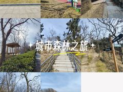 -浮山香苑