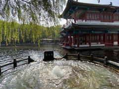 -百脉泉景区