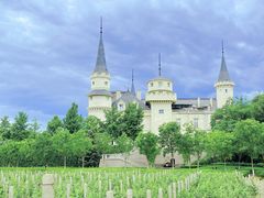 -北京张裕爱斐堡酒庄