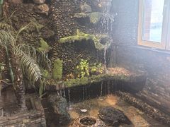 -大匠工房古船木艺术餐厅·猪肚鸡专门店(长白仙岛店)