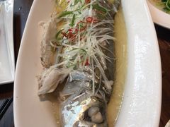 -金枝玉叶上海人家食府(三里河店)