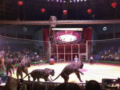 -西安秦岭野生动物园