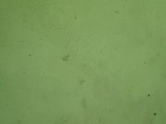 -上足·影院足道·SPA(红岭店)