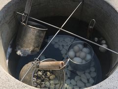 -凤翔首邑温泉度假村
