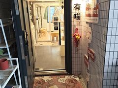 -有喵·猫咖·狗咖·30几只猫10只小狗(岗厦店)