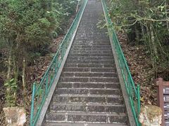 -云南屏边大围山国家公园