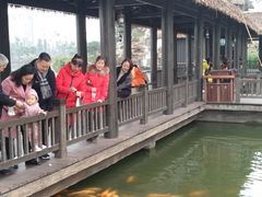 -枫香湖儿童公园