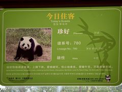 -安吉竹博园